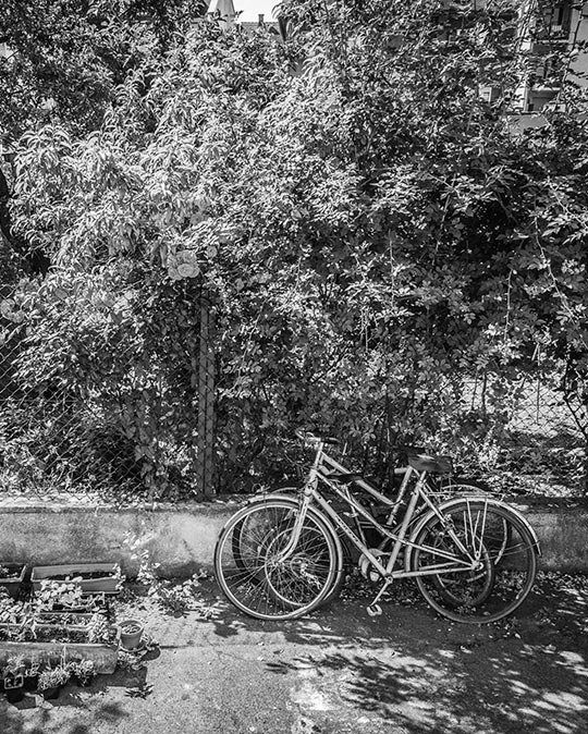 Друк на полотні